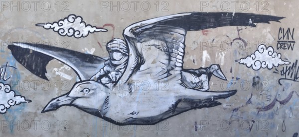 Graffiti of a seagull (larinae) with a human figure on a wall, surrounded by stylised clouds, Essaouira, Morocco