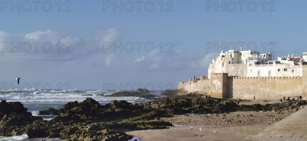 View of coastal landscape with city walls of Essaouira, waves and a small sandy beach with big rocks under blue sky with a seagull (larinae), Essaouira, Morocco