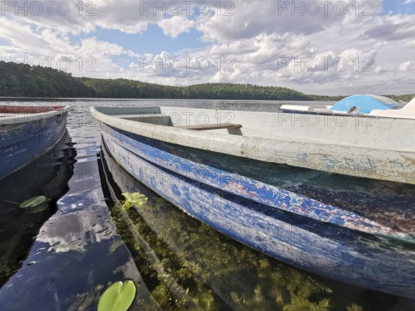 Rowing boat on Springsee on a cloudy day with green landscape, Dahme-Heideseen, Brandenburg