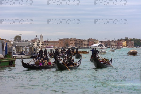 High season for gondoliers, gondola rides on the Grand Canal in Venice, Veneto, Italy