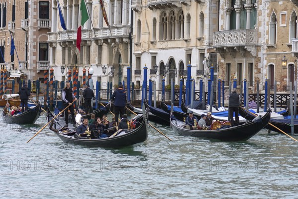 Gondola rides on the Grand Canal, Venice, Veneto, Italy