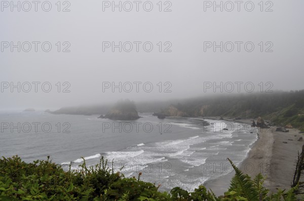 Misty coast with rocks and green shore, waves hitting the beach under a grey sky, Redwood National Park, California, USA