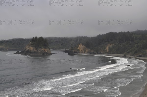 A rugged coastal landscape with islands in water surrounded by fog and waves, Redwood National Park, California, USA