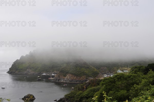 A misty coastal scene with calm water, small boats, and a wooded hill, Redwood National Park, California, USA