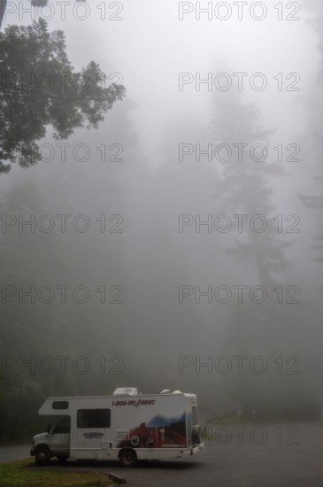 A motorhome stands in the misty redwood forest, coast redwood (Sequoia sempervirens), creating a mystical atmosphere, Redwood National Park, California, USA