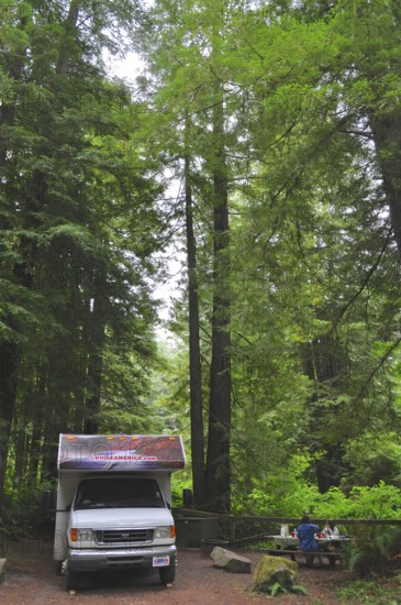Motorhome in the forest, coast redwood (Sequoia sempervirens), idyllic atmosphere, picnic area, Redwood National Park, California, USA