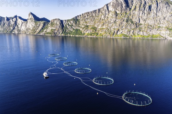 Aerial view of a salmon farm, aquaculture in the Mefjord on Senja island, in the background the peak of famous Segla mountain, Senja, Norway