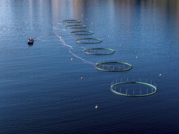 Aerial view of a salmon farm, aquaculture in the Mefjord on Senja island, Senja, Norway