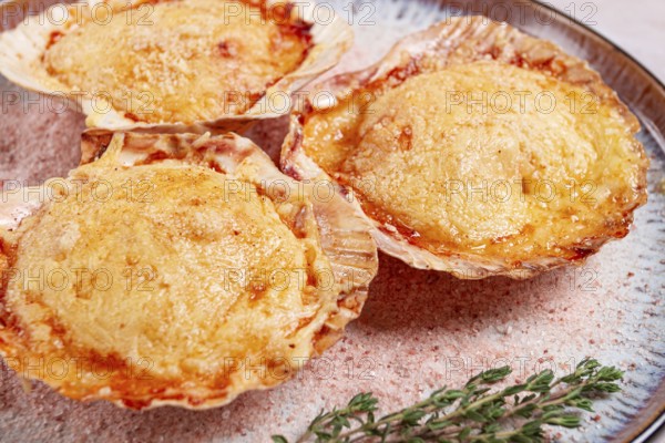 Scallop, baked in shells, with cheese and spices, on a plate, homemade