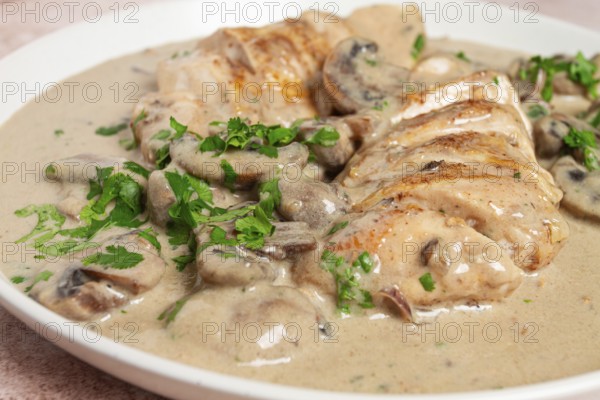 Chicken in cream sauce with mushrooms, on a plate, no people
