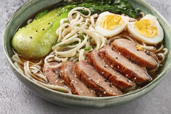 Ramen soup with duck and noodles, with eggs and bok choy, homemade, no people