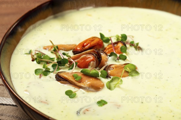 Creamy soup with mussels, mussels without shells, American cuisine, homemade, no people