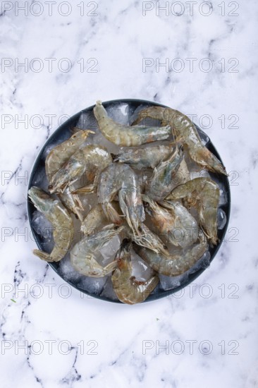 Fresh raw shrimp, spread on ice with lemon and cilantro slices on a marble surface, ready to cook, no people
