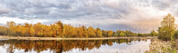 A quiet lake with autumnal moor forest on the shore reflecting the sky and clouds, Gildehauser Venn, Bad Bentheim, Lower Saxony, Germany