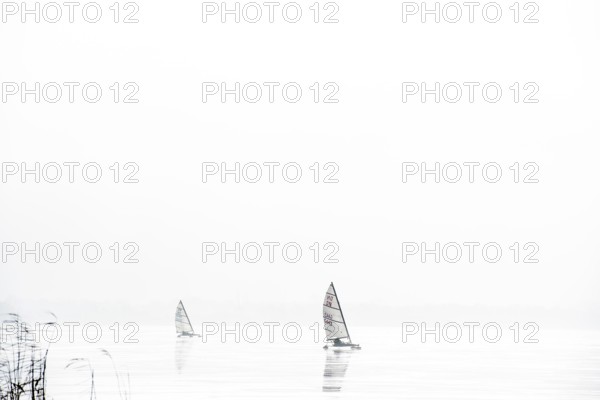 Ice sailor on frozen Dümmer Lake, Lembruch, Lower Saxony, Germany