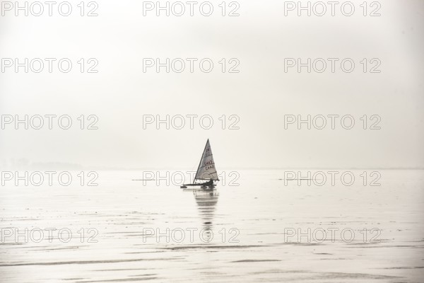 Ice sailor on frozen Dümmer Lake, Dümmer nature park Park, Lembruch, Lower Saxony, Germany