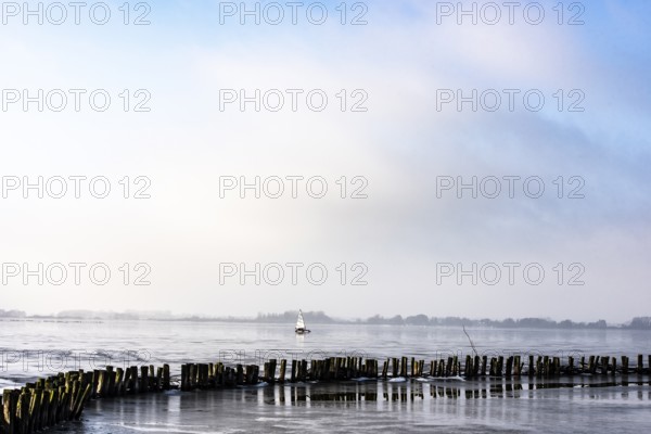 Ice sailor on frozen Dümmer Lake in front of a row of old wooden posts, Lembruch, Lower Saxony, Germany