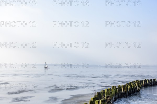 Ice sailor on frozen Dümmer Lake, shore with wooden structures, Lembruch, Lower Saxony, Germany