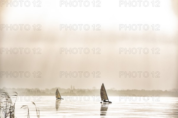 Ice sailor on the frozen Dümmer Lake in a sepia mood, Lembruch, Lower Saxony, Germany