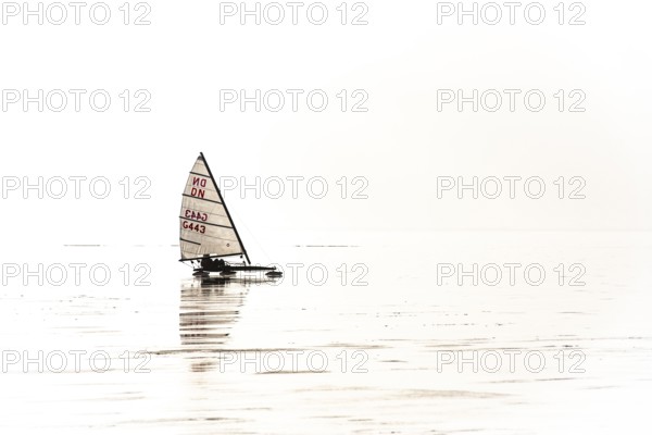 Ice sailor on the frozen Dümmer Lake on a brightly lit, minimalist-looking lake, Lembruch, Lower Saxony, Germany