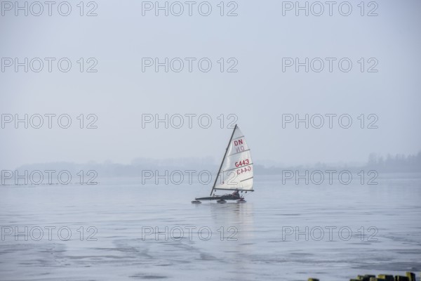 Ice sailor sailing on a clear and icy frozen Dümmer Lake, Lembruch, Lower Saxony, Germany