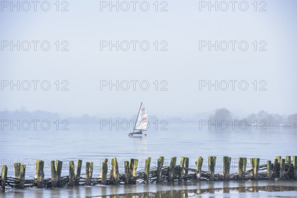 Ice sailor sails on a lake with wooden barriers in the foreground, blue sky, cold winter day on frozen Dümmer Lake, Lembruch, Lower Saxony, Germany, An ice sailboat