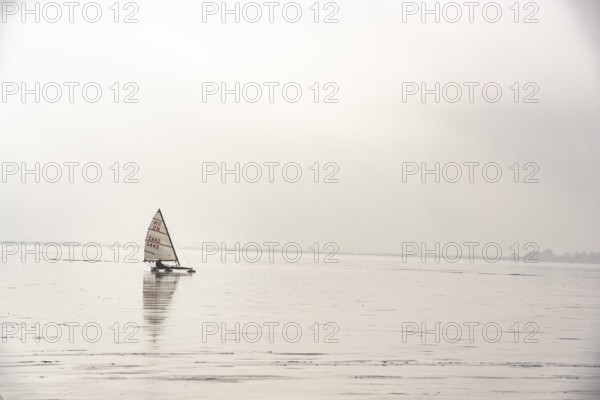 Ice sailor glides across a foggy, frozen lake, quiet winter landscape on frozen Dümmer Lake, Lembruch, Lower Saxony, Germany