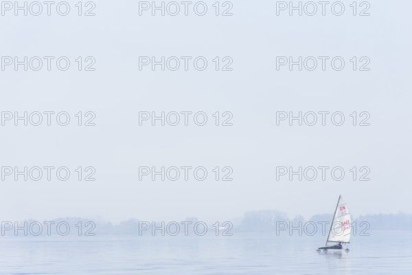Ice sailor on frozen Dümmer Lake, on a fog-covered lake, quiet and peaceful winter landscape, Lembruch, Lower Saxony, Germany, An ice sailboat