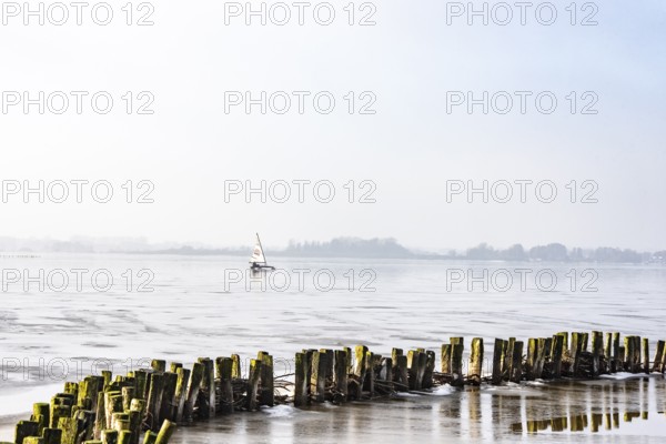 Ice sailor on frozen Dümmer Lake, wooden barriers on the shore, sunny winter day, Lembruch, Lower Saxony, Germany