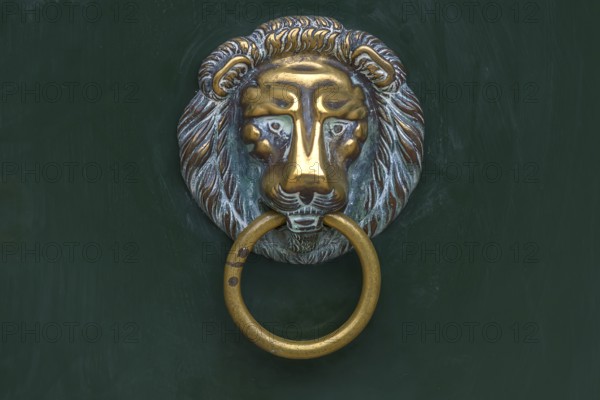 Brass lion head as a door knocker, Venice, Veneto, Italy