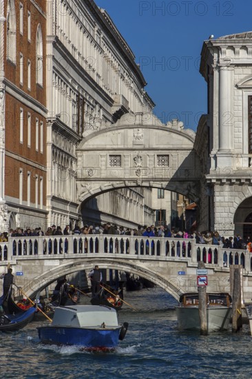 Mass tourism in front of the Bridge of Sighs, Venice, Veneto, Italy