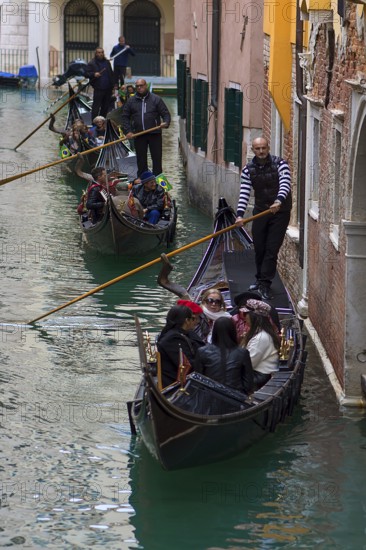 Gondola rides with tourists through the old town canals, Venice, Veneto, Italy