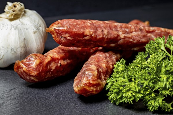 Still life with garlic, salami and parsley on dark background, crunchy pepperbite sausage
