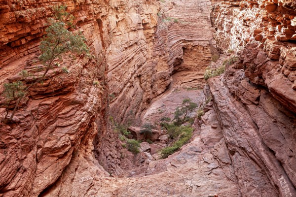 Red rock formations of a gorge with isolated vegetation create a wild natural image, rock formation of the Quebrada de Cafayate near Salta in Argentina