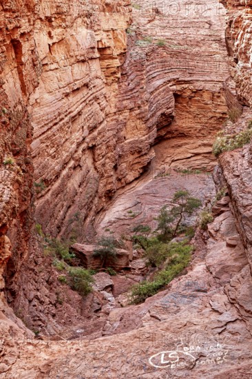 Impressive rock face with visible stratifications and limited vegetation, showing natural erosion, rock formation of the Quebrada de Cafayate near Salta in Argentina