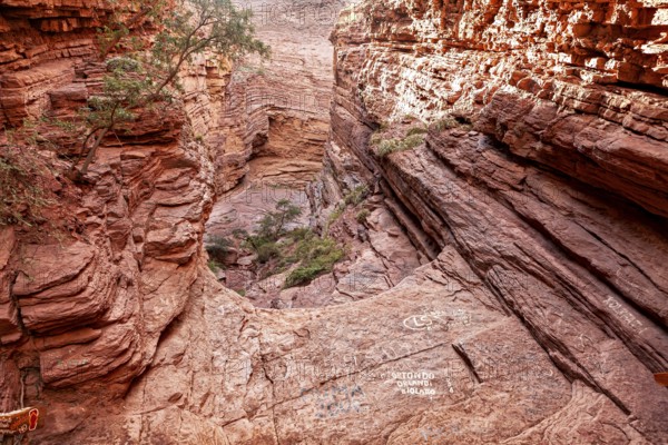 Deep gorge with red rocks and sparse vegetation, reveals the erosive forces of nature, rock formation of the Quebrada de Cafayate near Salta in Argentina