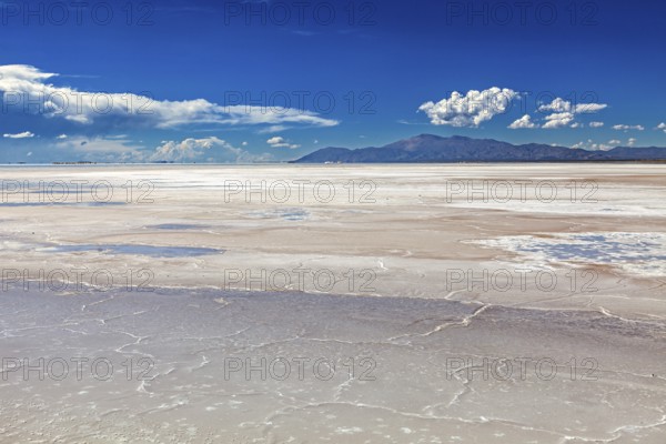 Extensive salt flat with mountains in the background under a blue sky, the Salar de Cauchari salt pan near Salta in Argentina