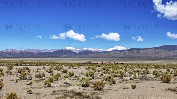 Wide desert landscape with snow-covered mountains under blue sky and scattered clouds, The landscape of Quebrada de Cafayate near Salta in Argentina