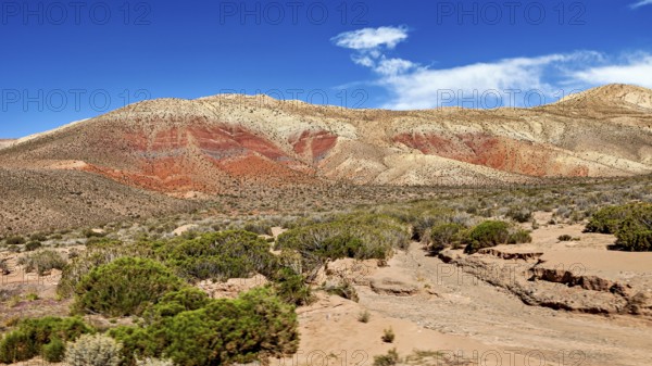 Red-brown hills in a sandy desert landscape under clear blue sky, the landscape and colorful rock formations of the Quebrada de Cafayate near Salta in Argentina