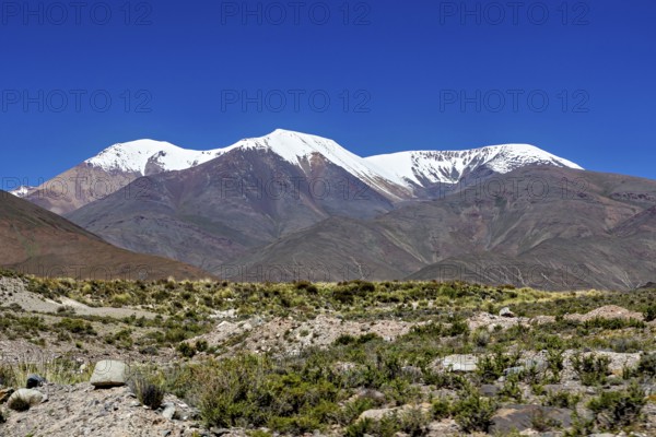 Snowy mountains tower over a barren desert landscape under clear skies, roads through the landscape of the Quebrada de Cafayate near Salta in Argentina
