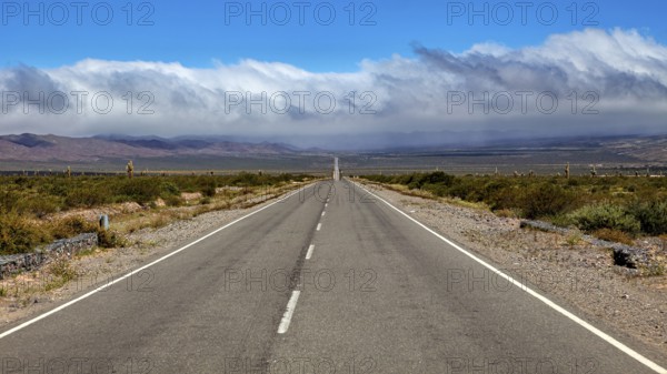 Endless road leads to distant mountains under dramatic clouds, The landscape of the Quebrada with its large cacti near Salta in Argentina, Cardón cactus (Echinopsis atacamensis)