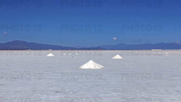 Wide salt desert with salt formations in the foreground and mountains on the horizon under clear blue sky, the Salar de Cauchari salt pan near Salta in Argentina