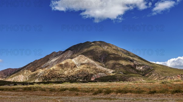 Volcanic landscape under a blue sky with scattered clouds, The landscape of the Quebrada with its large cacti near Salta in Argentina, Cardón cactus (Echinopsis atacamensis)