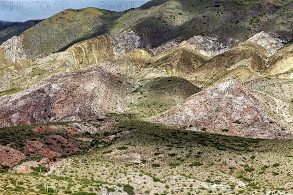 A fascinating view of mountains with diverse colors and lush vegetation, the landscape and colorful rock formations of the Quebrada de Cafayate near Salta in Argentina