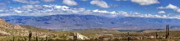 Panoramic picture of a wide mountain landscape with valley and clear sky, The landscape of the Quebrada with its large cacti near Salta in Argentina, Cardón cactus (Echinopsis atacamensis)