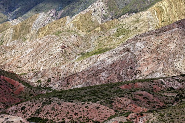 Mountains with diverse colors and natural patterns rise from the vegetation, the landscape and colorful rock formations of the Quebrada de Cafayate near Salta in Argentina