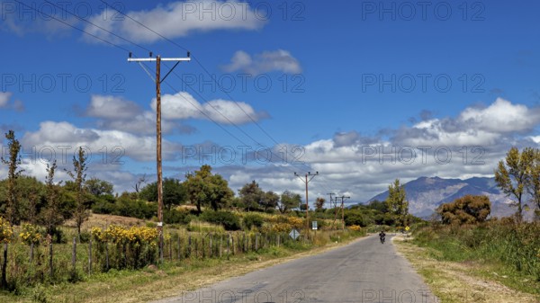 Rural road with electricity poles and trees under a cloudy blue sky, roads through the Quebrada de Cafayate countryside near Salta in Argentina