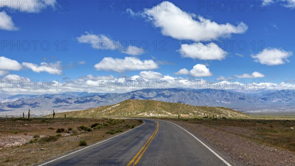 An empty, winding road leads through a vast desert landscape under a cloudy sky, The landscape of the Quebrada with its large cacti near Salta in Argentina, Cardón cactus (Echinopsis atacamensis)