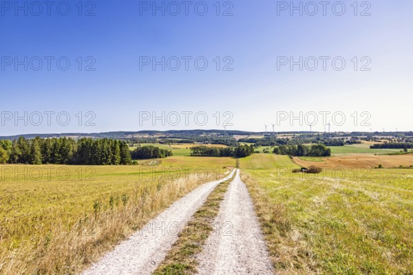 Scenic rural landscape view with a dirt road leading through open fields. Several wind turbines rise on the horizon under a clear blue skya, a tranquil countryside scene capturing natural beauty and open space, Sweden