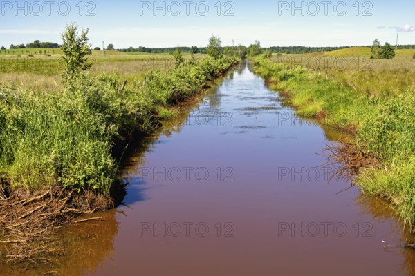 Straight narrow water channel running through a grassy rural field bordered by tall lush green vegetation and shrubs with brownish water frome natural sediment a sunny summer day in the countryside